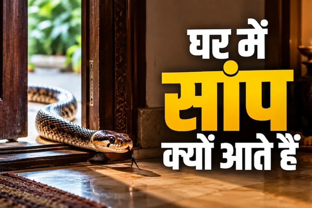 Reasons for Snakes Entering Homes and Ways to Protect Against Them