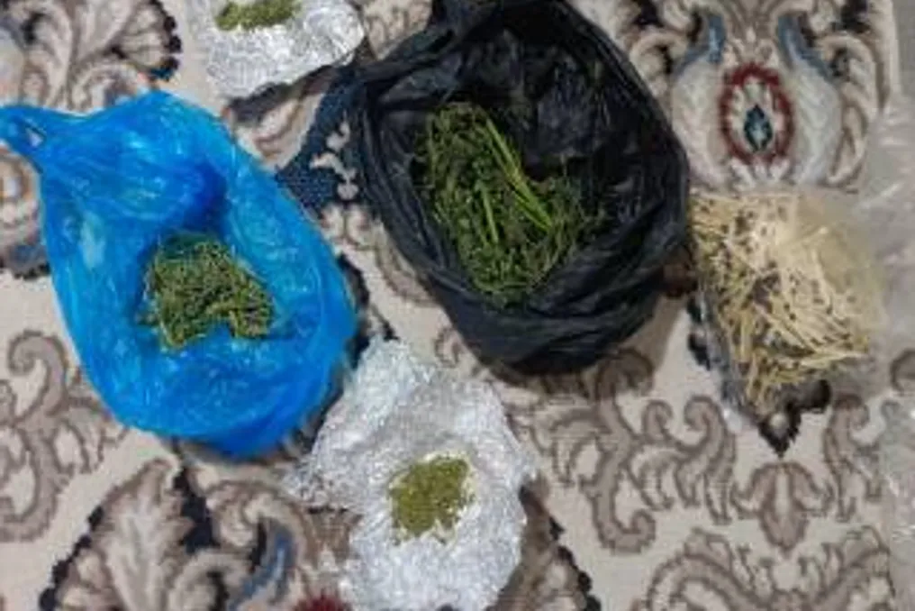 Jizzax viloyatida narkotik savdosiga qarshi tezkor choralar