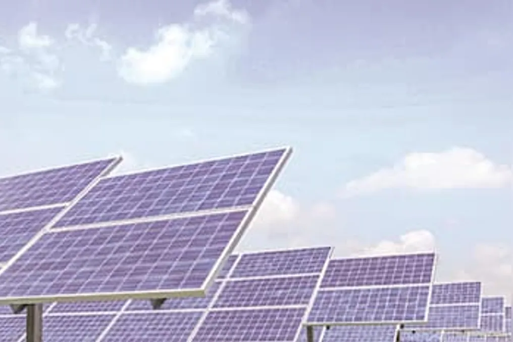 Waaree Renewable Technologies ning ikkinchi choraqdagi sof foydasi 29 foizdan ortiq kamayib, 81 milliard rupiyga tushdi