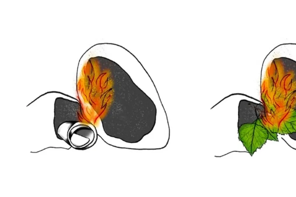 Archaeologists have restored the primitive technology for obtaining birch tar from leaves