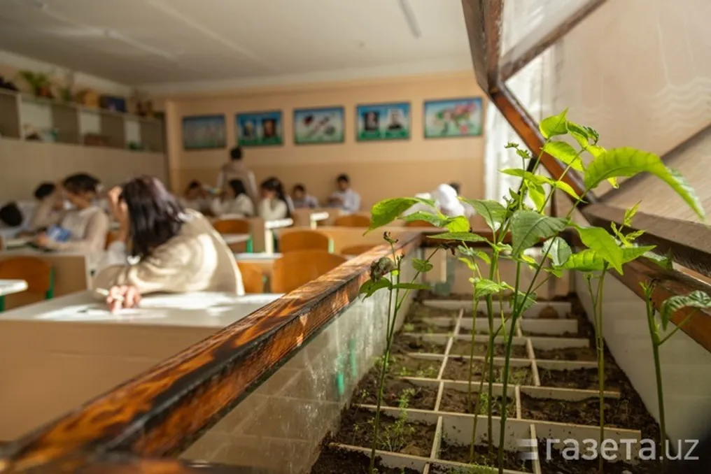 Annual psychological diagnostics introduced for educators and students in Uzbekistan