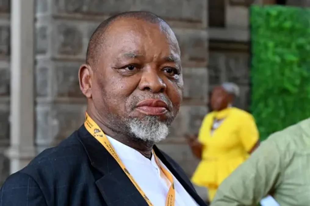 Especialistas criticam declarações de Mantashe por serem inadequadas no contexto da exploração sexual de mulheres