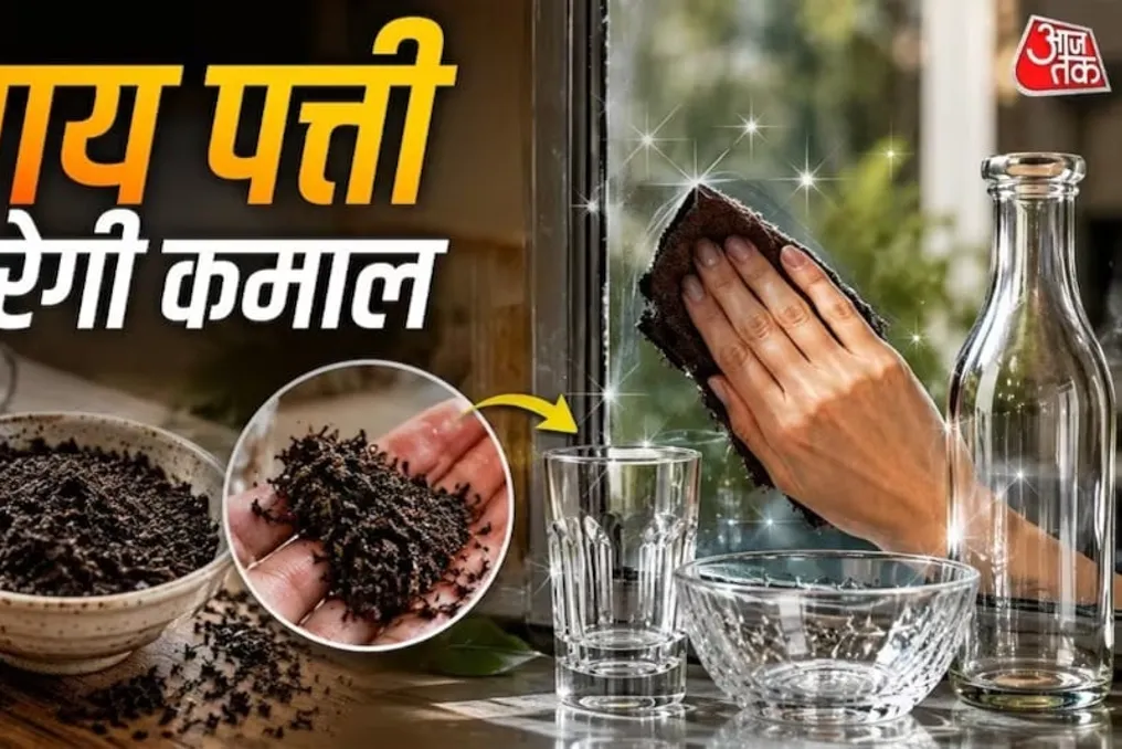 चाय के अवशेषों का उपयोग कैसे करें: सफाई और घर की देखभाल के लिए प्राकृतिक तरीके