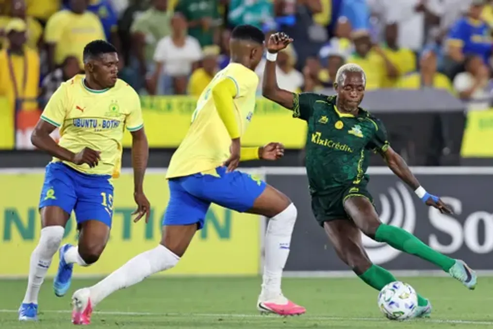 Miguel Cardoso expresses confidence in the recovery of Mamelodi Sundowns after exiting the CAF Champions League