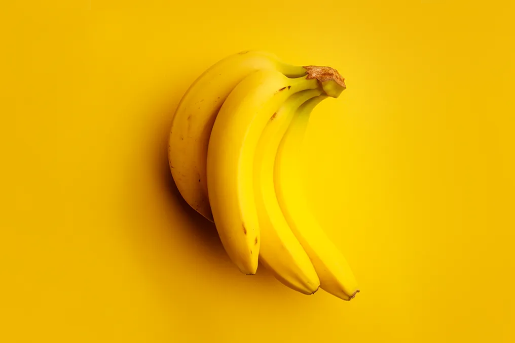 Banana extinction threat: the impact of diseases, climate change, and genetic diversity
