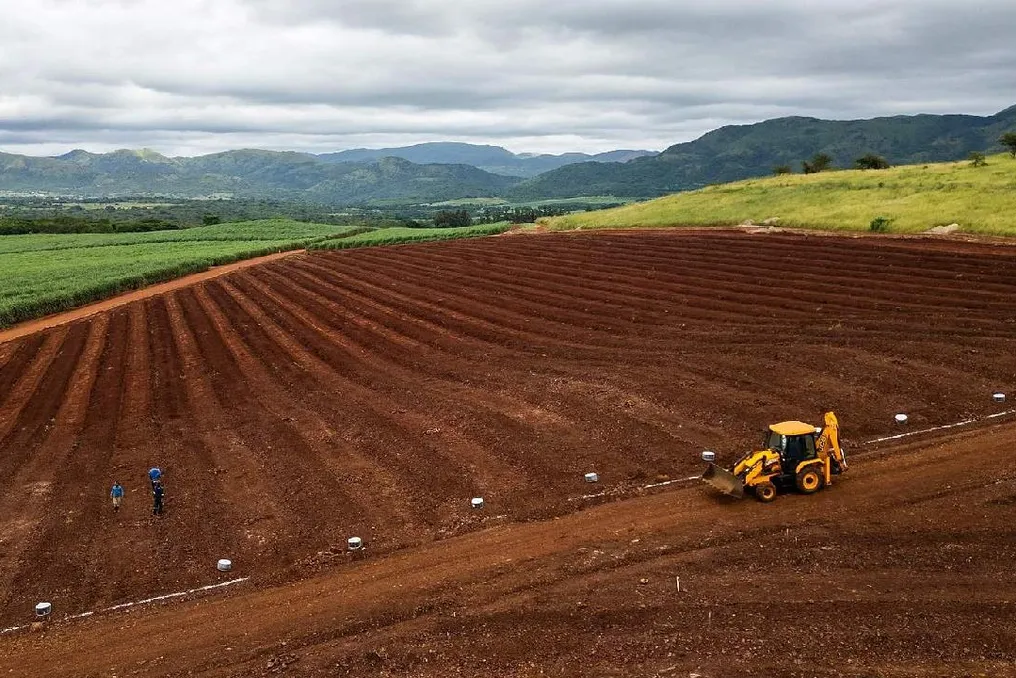 Representantes da ONU e da União Africana pedem à África que acelere a implementação de inovações na agricultura