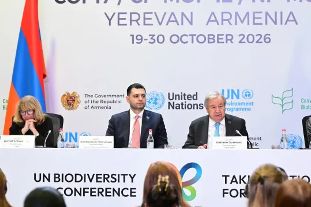 COP17 da biodiversidade aproxima-se do fim sem acordo sobre pontos chave de preservação da natureza