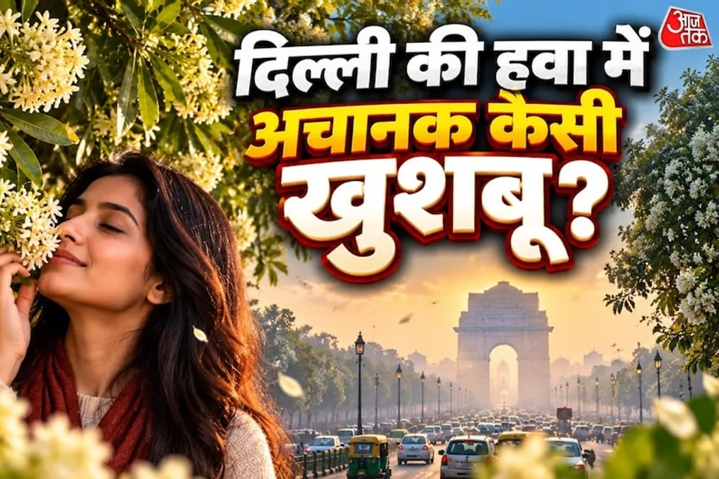 दिल्ली में ठंडे मौसम में असामान्य गंध का कारण सप्तापर्णी पेड़ है